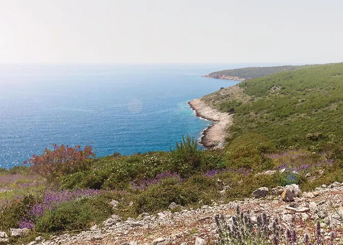 Gorgeous In With Sauna Hébergement de vacances